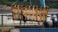 Загрузка косаток в бухте Средней, Фото: 1