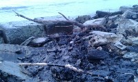 Загрязнение берега Невельска нефтепродуктами, Фото: 6