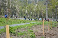 Еще 800 деревьев и 40 кустов высадили сегодня у лыжероллерной трассы в Южно-Сахалинске, Фото: 4