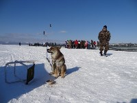 Сахалинский лед-2015, Фото: 14