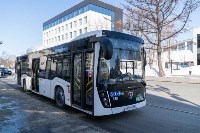 Ещё 25 новых пассажирских автобусов вышли на дороги Южно-Сахалинска, Фото: 3
