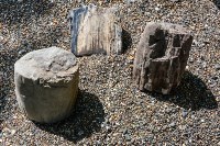 Ракушку возрастом 15 миллионов лет нашли туристы на Сахалине, Фото: 8