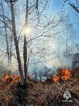 Более 20 гектаров выгорело: с начала года в Сахалинской области потушили 41 пал травы, Фото: 7