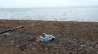 Семья из Южно-Сахалинска убрала мусор за отдыхающими на пляже в Пригородном , Фото: 3