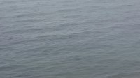 Мертвого мужчину обнаружили в море на юге Сахалина, Фото: 4