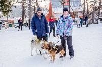 Соревнования по ездовому спорту прошли в Южно-Сахалинске, Фото: 25