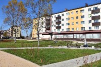 Новый сквер с фигурами морских животных откроют в Поронайске, Фото: 4