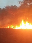 Пожар в лесу в Анивском районе, Фото: 5
