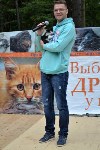 В рамках выставки беспородных собак в Южно-Сахалинске 8 питомцев обрели хозяев, Фото: 52