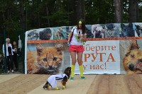 В рамках выставки беспородных собак в Южно-Сахалинске 8 питомцев обрели хозяев, Фото: 60