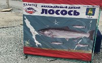 В Южно-Сахалинске появился свежий лосось по 160 рублей, Фото: 1