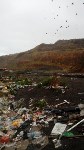В Холмске свалку бытовых отходов признали незаконной, Фото: 2