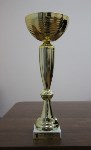Команда ВЦ «Сахалин» стала победительницей турнира по волейболу в Уссурийске, Фото: 1