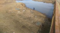 Рыбаки развели помойку вдоль реки Ильинки в Томаринском районе, Фото: 4
