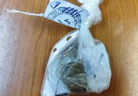 Курильчанина будут судить за куст конопли, Фото: 1