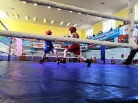 На первенстве Сахалинской области по боксу провели 103 боя, Фото: 2