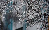 Ледяной дождь, Фото: 7