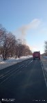 В СНТ "Солнышко" из огня спасли четыре кошки и одну собаку, Фото: 1
