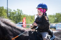 Соревнования по адаптивному конному спорту в Троицком - 2017, Фото: 2