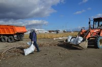 Сахалинские энергетики вывезли 60 мешков мусора с побережья, Фото: 2