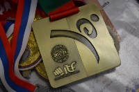 Сахалинец стал обладателем бронзовой медали Кубка Мира по тхэквондо МФТ, Фото: 5
