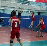  «Динамо» одержало победу в открытом волейбольном турнире среди мужских команд, Фото: 1