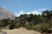 Сахалинцы отправились к подножию Эвереста, Фото: 35