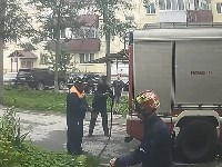 Кошку спасли при тушении пожара в Южно-Сахалинске, Фото: 3
