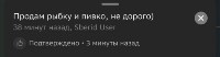 Что сахалинцы пишут в гигантских пробках, Фото: 8