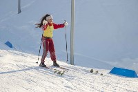 Лыжные гонки в рамках зимнего фестиваля ГТО, Фото: 18