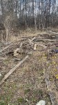 Свалку обнаружили в районе очистных сооружений, Фото: 10