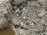 Схрон оружия обнаружили в Корсаковском районе активисты ОНФ, Фото: 6