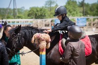 Соревнования по адаптивному конному спорту в Троицком - 2017, Фото: 21