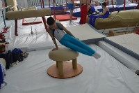  Открытое первенство города по спортивной гимнастике завершилось в Южно-Сахалинске, Фото: 1