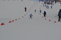 Около 300 лыжников Сахалина соревнуются за звание «Юного Динамовца», Фото: 24