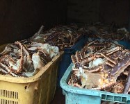 На Сахалине задержана группа браконьеров,  добывающих крабов, Фото: 9
