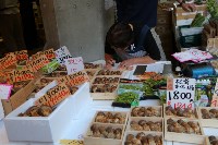 Рыбный рынок Цукидзи, Фото: 52