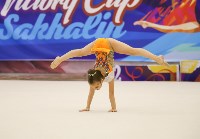 Дальневосточные соревнования по художественной гимнастике принял Сахалин, Фото: 4