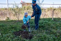 В Новотроицком люди посадили больше 300 деревьев и кустарников, Фото: 12