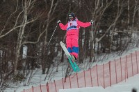 Чемпионат России по фристайлу: Фото 1 Чемпионат России по фристайлу, Фото: 1