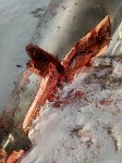 Мертвого кита вытащили на берег в Макаровском районе, Фото: 4