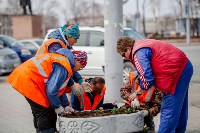Высадка цветов началась в Южно-Сахалинске , Фото: 6