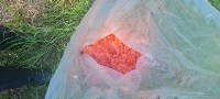 Больше 6 килограммов красной икры изъяли у молодого браконьера в Макарове, Фото: 1