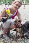 В рамках выставки беспородных собак в Южно-Сахалинске 8 питомцев обрели хозяев, Фото: 236