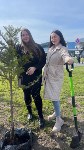 Новая аллея появилась у аэровокзала в Южно-Сахалинске, Фото: 4