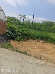 На заросли борщевика и травы жалуются южносахалинцы, Фото: 3