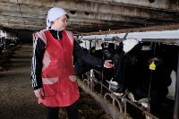 Сахалинские фермерские хозяйства обеспечат кормами для скота, Фото: 6