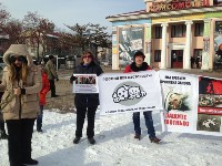 На Сахалине более 100 человек приняли участие в пикете в защиту животных, Фото: 4