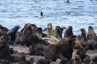 Тюлень с практически отрезанной головой пришёл за помощью к сахалинцам, Фото: 8