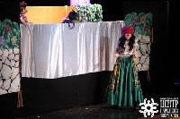 На VII Областном фестивале театров кукол было представлено 11 конкурсных спектаклей, Фото: 27